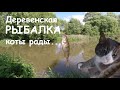 Рыбалка в деревне: коты рады:) Fishing in the village: cats are happy