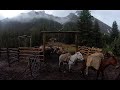 Back Country Lodges Setup 2020 With Pack Mules | Banff Trail Riders | Canadian Rockies