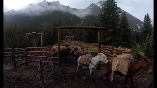 Back Country Lodges Setup 2020 With Pack Mules | Banff Trail Riders | Canadian Rockies