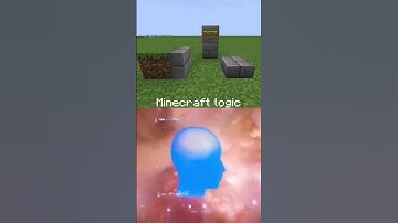 POV: Minecraft Logic (No Mods, Just Minecraft)