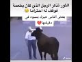 الأصيل يبقى أصيل وغنم مقتدى تبقى غنم لافهم ولاعلم