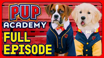 Cooking Up Trouble | Pup Academy Full Episode S1E4