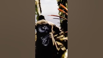 unreal engine 5 cinematic, full video out now! #unrealengine #cinematic #shorts