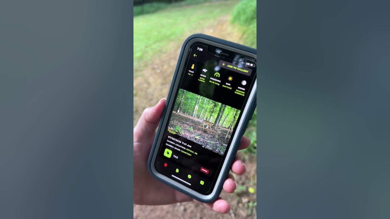 DO THIS! New Features of the Tactacam Reveal App Update shortsvideo 