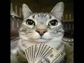 is it a 1v5? is it an ace? #counterstrike