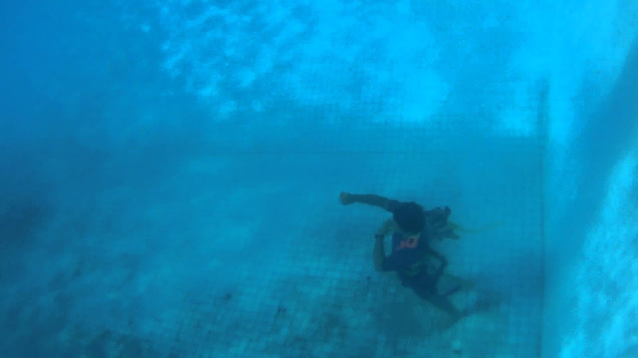 walking pez Caminata bajo el agua. (Walk underwater)