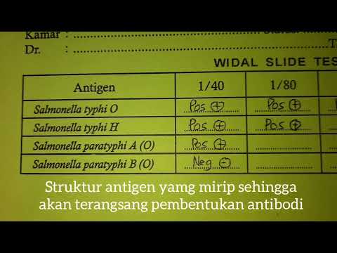 Video: Bagaimana menginterpretasikan tes widal?