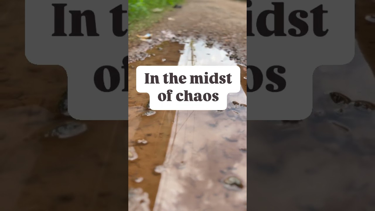 Life can feel chaotic, But sometimes, it's in these moments that we find our greatest clarity.