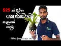 නිවස අලංකරණයට කොකිඩාමා - Kokedama