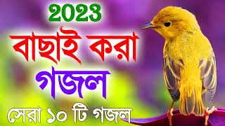 11 Bangla Gojol   নতুন গজল সেরা গজল   New Bangla Gazal, 2023 Ghazal, Gojol, Islamic Gazal,