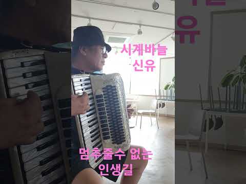 은빛바다