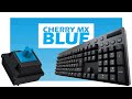 Logitech G610 Cherry MX Blue - Mechanical Keyboard Sounds [ASMR]