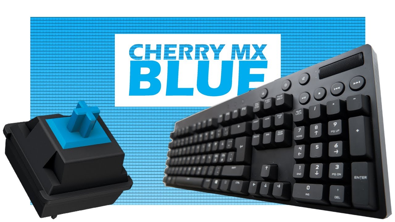 Logitech G610 MX Blue - Mechanical Keyboard Sounds [ASMR] - YouTube