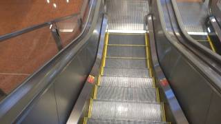Haneda Airport T2 (Arrv), Japan - Mitsubishi Series Z ZP-S1000 (Motion-R) Escalator 三菱 Zシリーズ エスカレーター