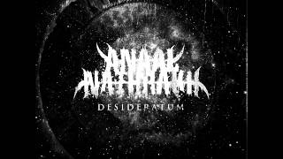 Anaal Nathrakh - The Joystream (Desideratum 2014)