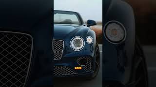 Mr  Bean’s Luxury Car Collection!