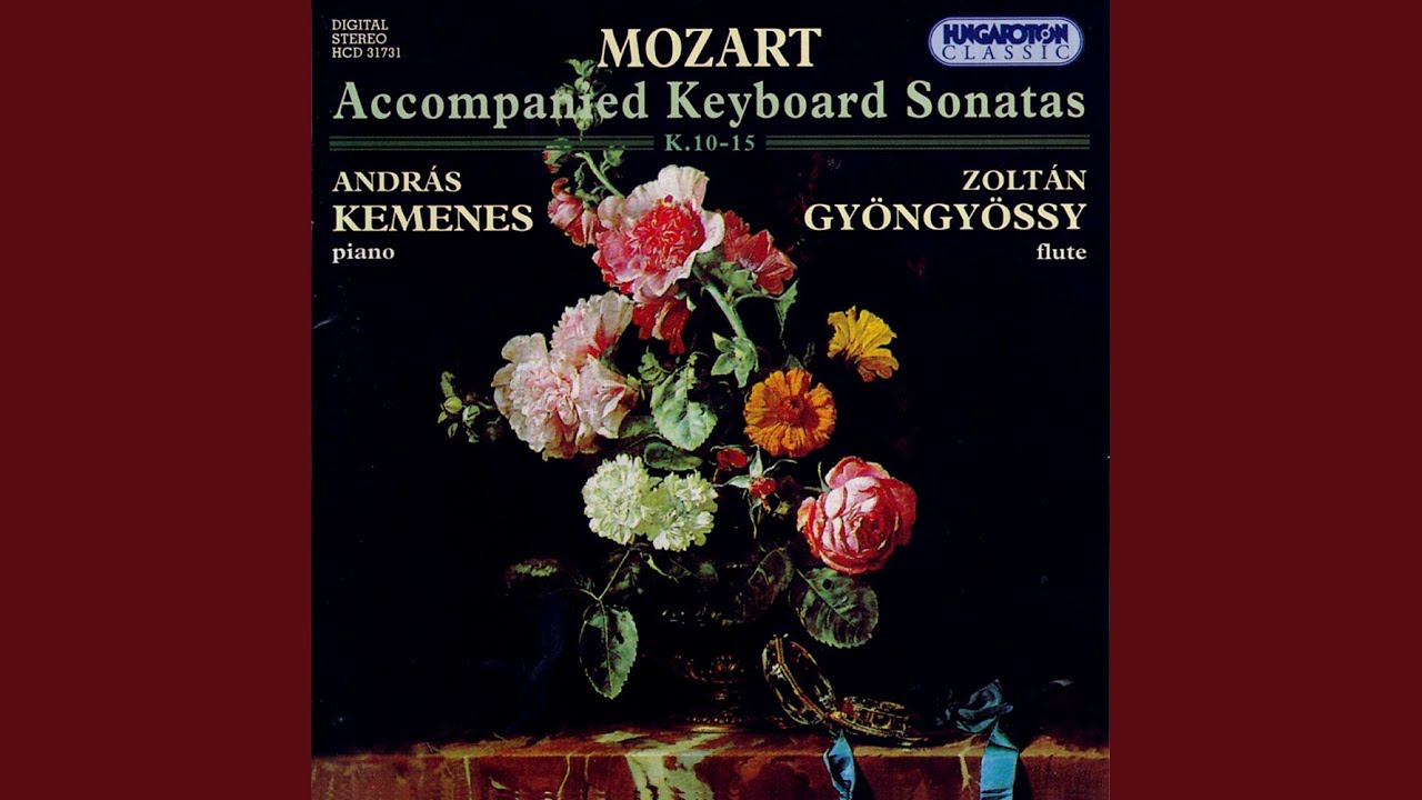 在 YouTube 上觀看「Sonata in B-flat major KV 10 - II. Andante」