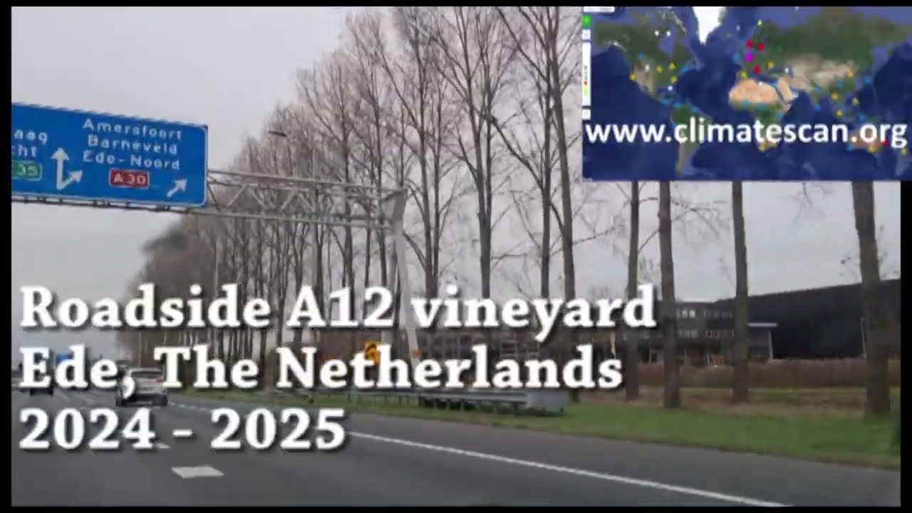 Roadside A12 vineyard Ede, The Netherlands 2024 2025