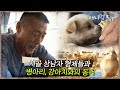 풀버전 시골 병아리 키우는 상남자 삼형제와 신입 강아지 똘이의 수상한 동거 I 수상한 삼형제 I KBS 인간극장 2011 방송 풀버전 시골 병아리 키우는 상남자 삼형제와 신입 강아지 똘이의 수상한 동거 I 수상한 삼형제 I KBS 인간극장 2011 방송
