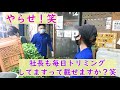 パクチーのトリミング♪/#今日のベジアーツ