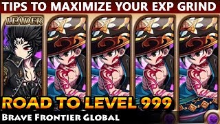 Road To Level 999  Tips To Maximize Your EXP Farming (Brave Frontier Global)