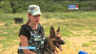 Кинологи Волгограда отмечают профессиоональный праздник Кинологи Волгограда отмечают профессиоональный праздник