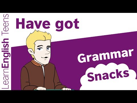 Have got in English - English grammar lessons