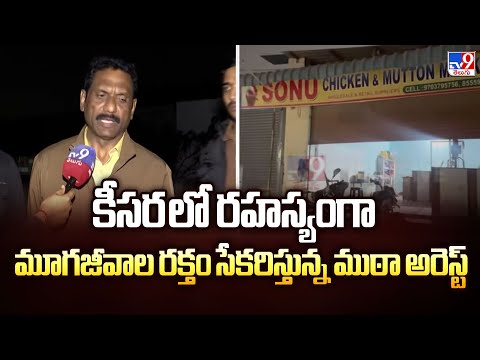 కీసర లో రహస్యంగా మూగజీవాల రక్తం సేకరిస్తున్న ముఠా అరెస్ట్ - TV9 - TV9