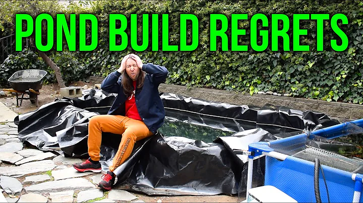 5 Koi Pond Build Regrets