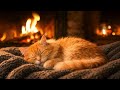 Ultimate Cozy Night | Cat Sleeping by the Fireplace Relaxing ASMR. #purringcats #fireplace #asmr