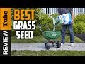 ✅Grass Seed: Best Grass Seed 2020 (Buying Guide)