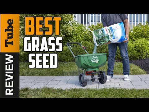 Video: Lawn Grass DLF: Lawn Seeds. Which Mixture Is Best For You? Reviews