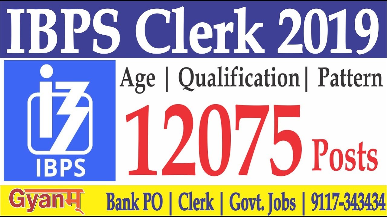 IBPS CLERK Notification 2019 - 12075 Posts | AGE | Qualification | Exam Pattern