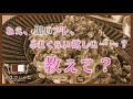 【イロカレシピ】成瀬桃真(cv.菊地 燎)ミニドラマ1~3