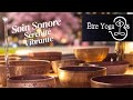 🎶Soin Sonore avec Bols Chantant Tibétains : Sérénité Vibrante