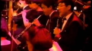 David Foster ( Water Fountain / Concert in Japan 1994 )