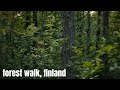 Night Forest Walking with Ambient Birds Sound and Foot steps