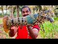 FISHERMAN LOBSTER COOKING | Big Lobster Recipe | World Food Tube