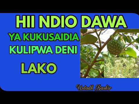 DAWA YA KULIPWA DENI LAKO KUTONGOZEA KUMSHAWISHI MTU