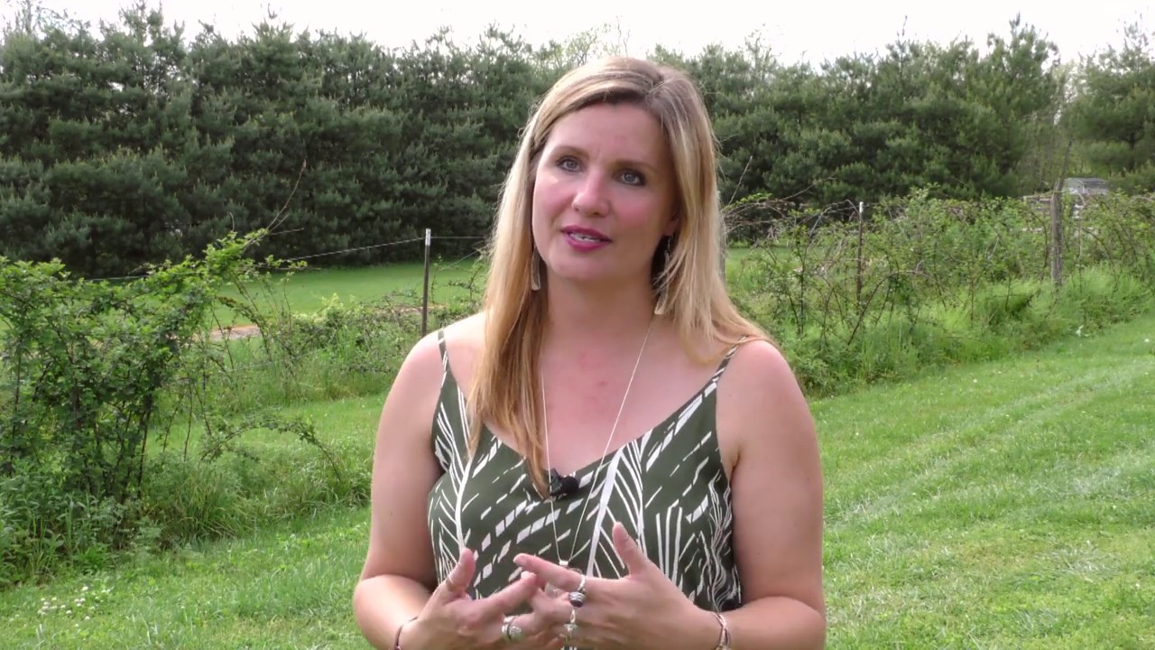 Wildside Winery's Drive- In Concert Experience