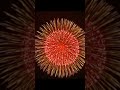 24 inch shell #fireworks