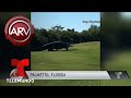 Reaparece enorme cocodrilo en un campo de golf | Al Rojo Vivo | Telemundo