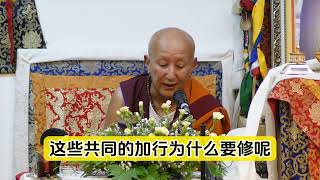 財富的根本因是功德？Nubpa Rinpoche 努巴仁波切(中文字幕)