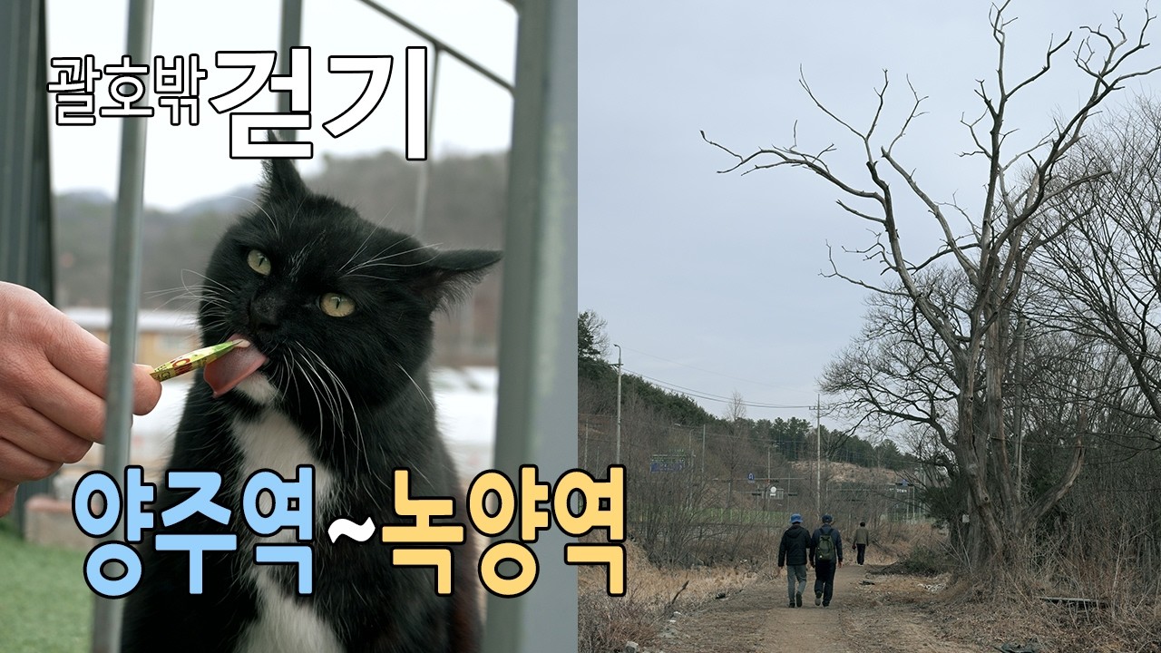 양주역에서 녹양역까지 걷기