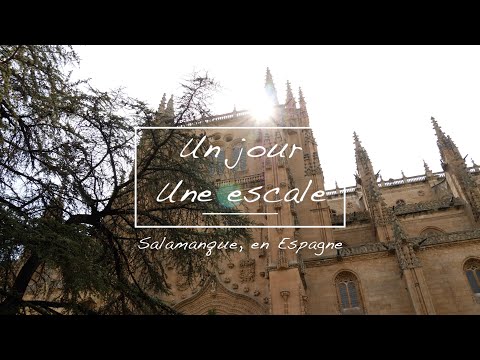 Vidéo: Visiter la ville de Salamanque