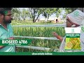 🎤 सुनिए हमारे किसानों की ज़ुबानी || Bioseed 4786