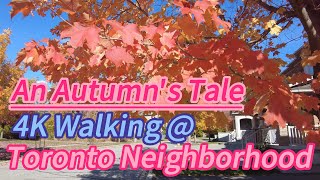 Maple Leaves-An Autumn's Tale-4K Walking At Toronto Neighborhood
