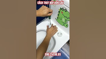 hướng dẫn cách thay thế nắp bồn cầu tại nhà