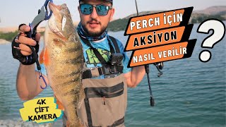 Perch İçin Aksiyon Nasıl Verilir  Tatlı Su Levreği Avı / Perch Avı 