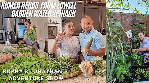 Khmer Herbs From Lowell - Backyard Garden Water Sp...